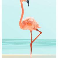 Affiche flamant rose