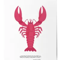 Affiche homard