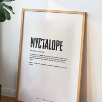 Affiche nyctalope cadre