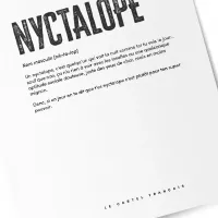 Affiche nyctalope zoom