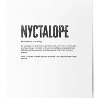 Affiche nyctalope