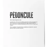 Affiche pedoncule