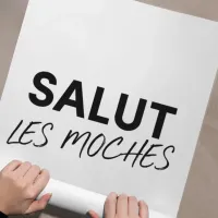 Affiche salut les moches enroulee