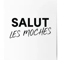 Affiche salut les moches presentation