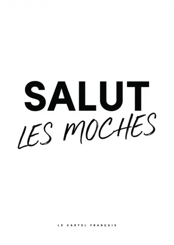 Affiche salut les moches sans cadre